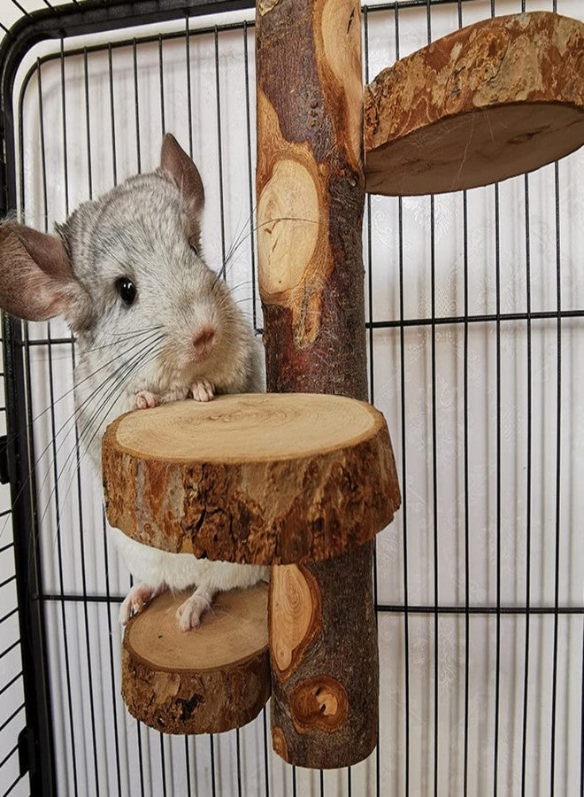 Barn Eleven Chinchilla Large Hanging Wooden Rotating Platform - Small Animal Natural Fruit Wood Standing Platform for Squirrels, Sugar Gliders & Birds - Image 4